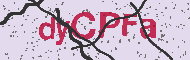 Captcha認証コード